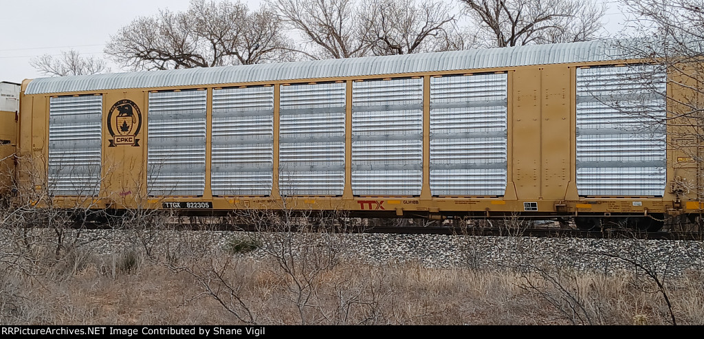 TTGX 822305